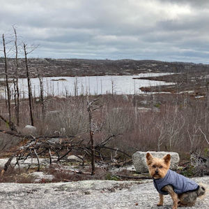 Meet your Posher, Bryan